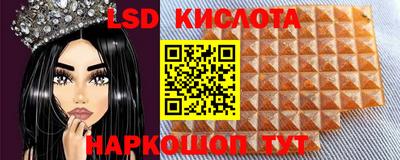 a pvp Кингисепп