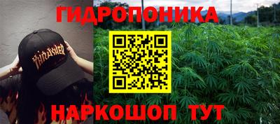гашик Кимры