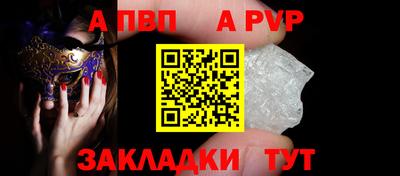 a pvp Кингисепп