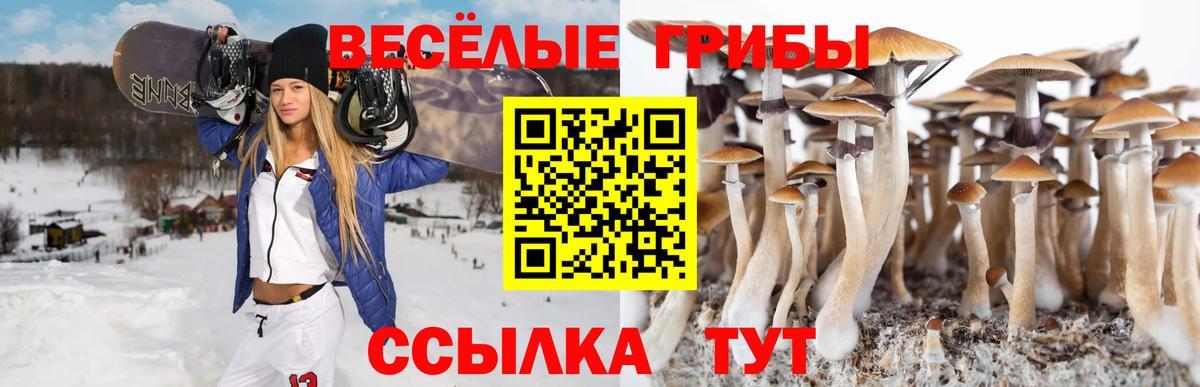 где купить наркоту  Псилоцибиновые грибы мицелий  Кстово  Вход с VPN  Псилоцибиновые грибы мухоморы 