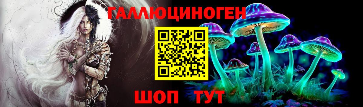 Псилоцибиновые грибы Psilocybe Кстово